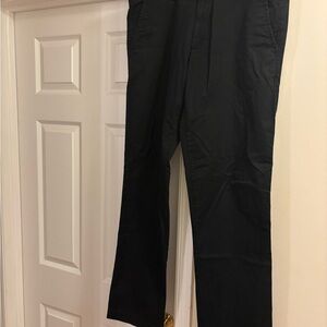 GAP Men's Dark Chinos